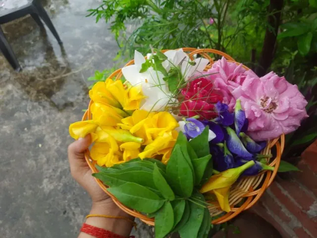 Bel Patra & Flowers