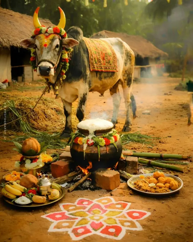 Gau Seva